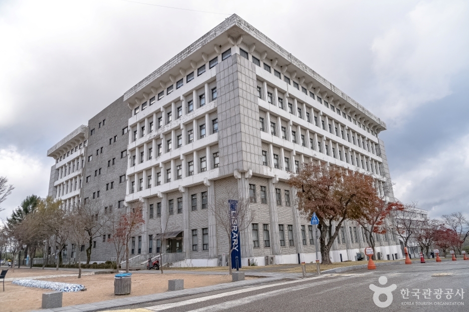 명지대학교 박물관 여행 추천 - 로드트립