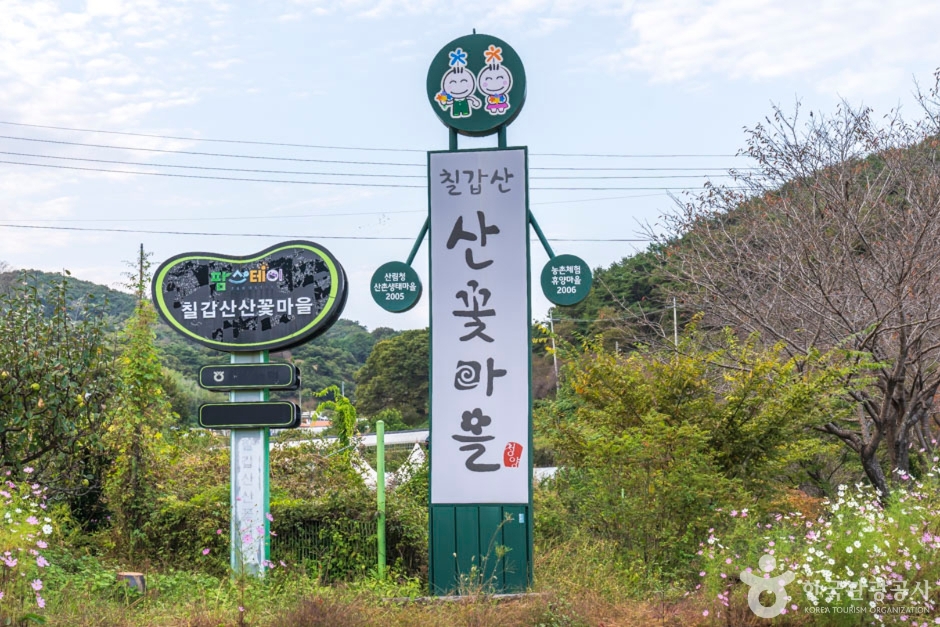칠갑산산꽃마을 여행 추천 - 로드트립