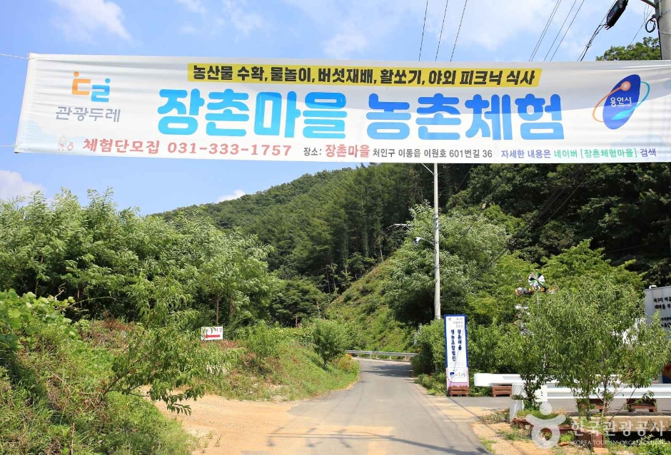 영농조합 장촌마을 여행 추천 - 로드트립