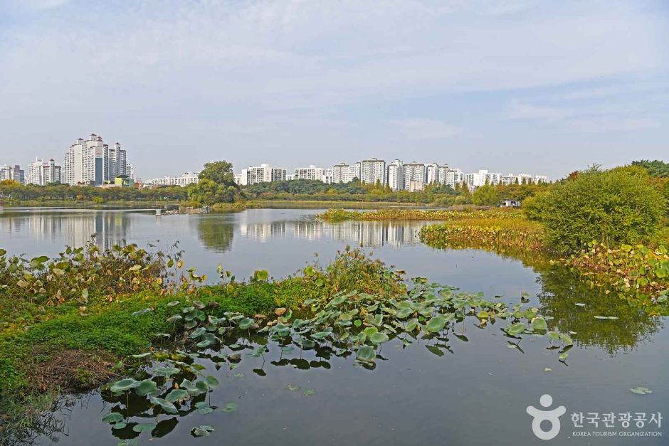 만석거공원 여행 추천 - 로드트립