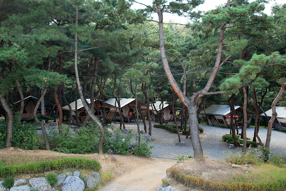 휴리조트 여행 추천 - 로드트립