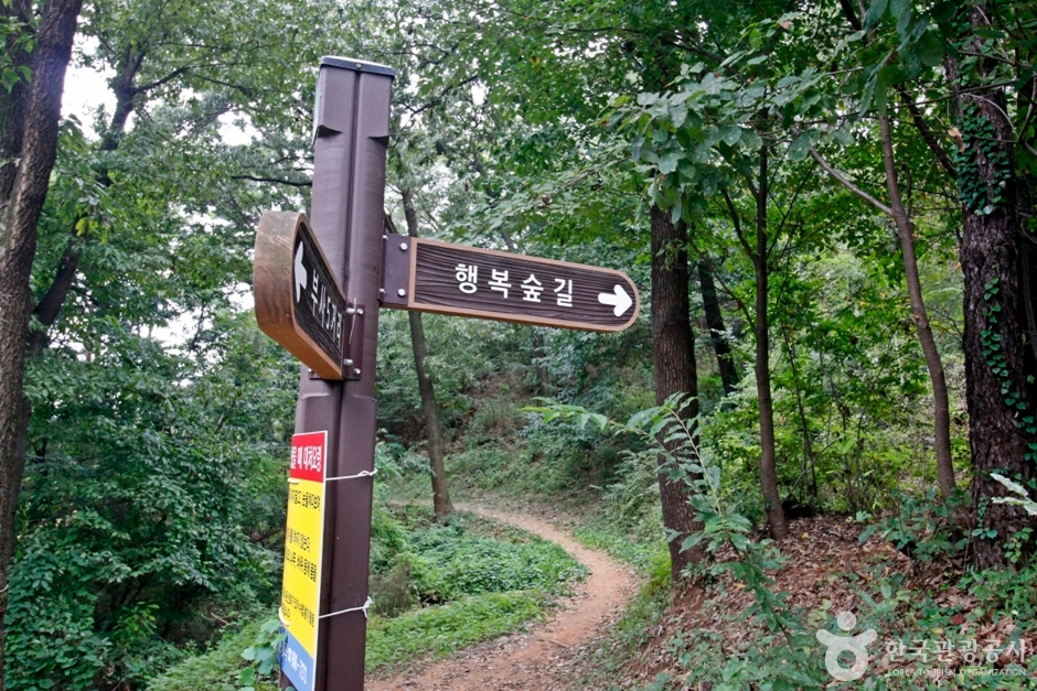 보문산 행복 숲 둘레길 여행 추천 - 로드트립