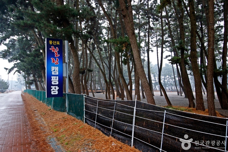 몽산포힐링캠핑장 여행 추천 - 로드트립