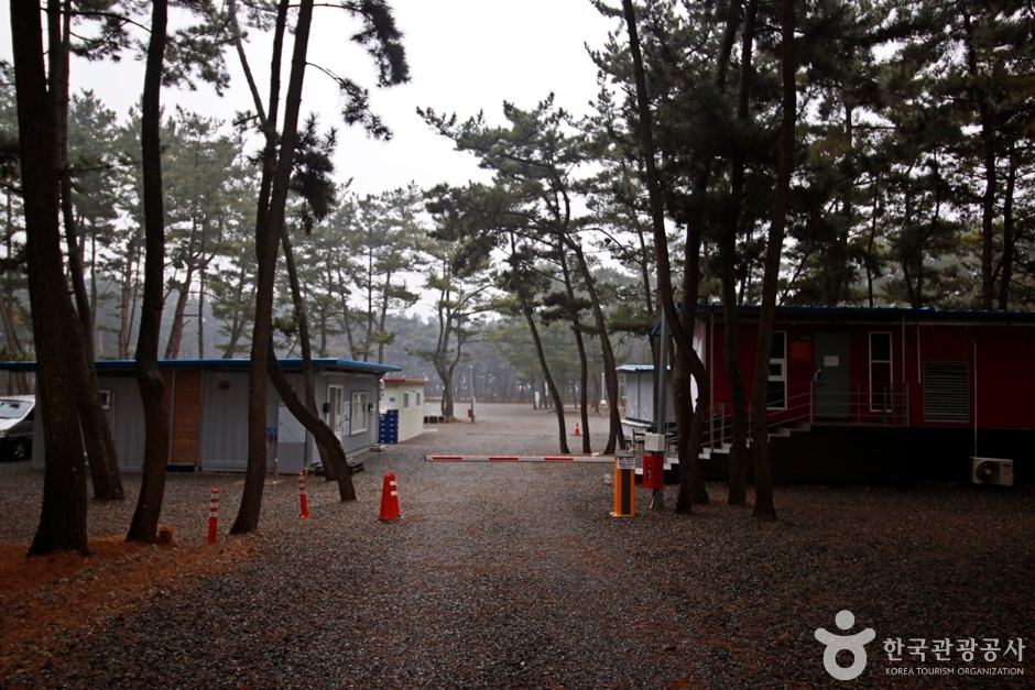 몽산포힐링캠핑장 여행 추천 - 로드트립