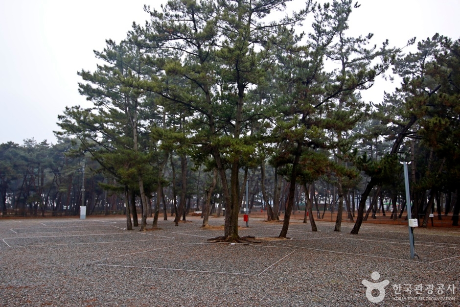 몽산포힐링캠핑장 여행 추천 - 로드트립