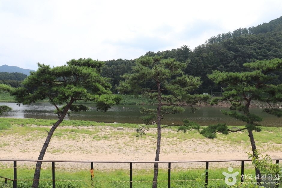 목도강변유원지 여행 추천 - 로드트립