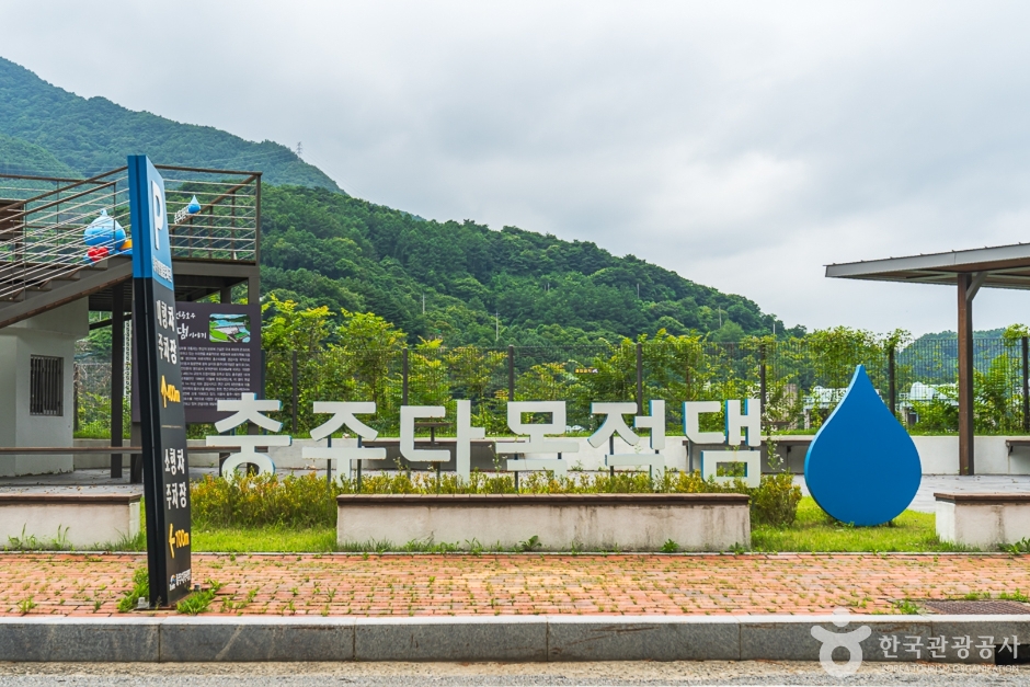 충주댐 벚꽃길 여행 추천 - 로드트립