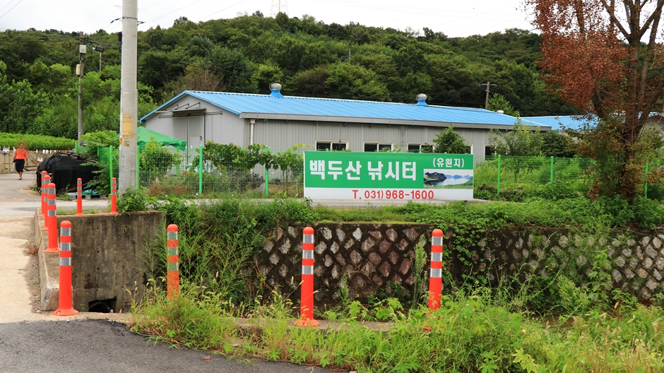 백두산낚시터 여행 추천 - 로드트립