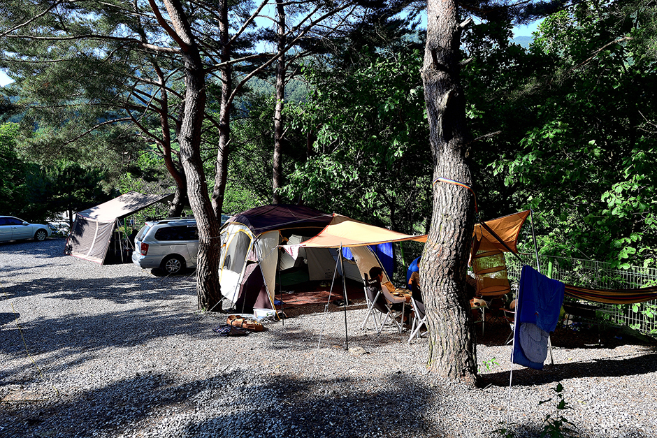 명돈골캠핑장 여행 추천 - 로드트립