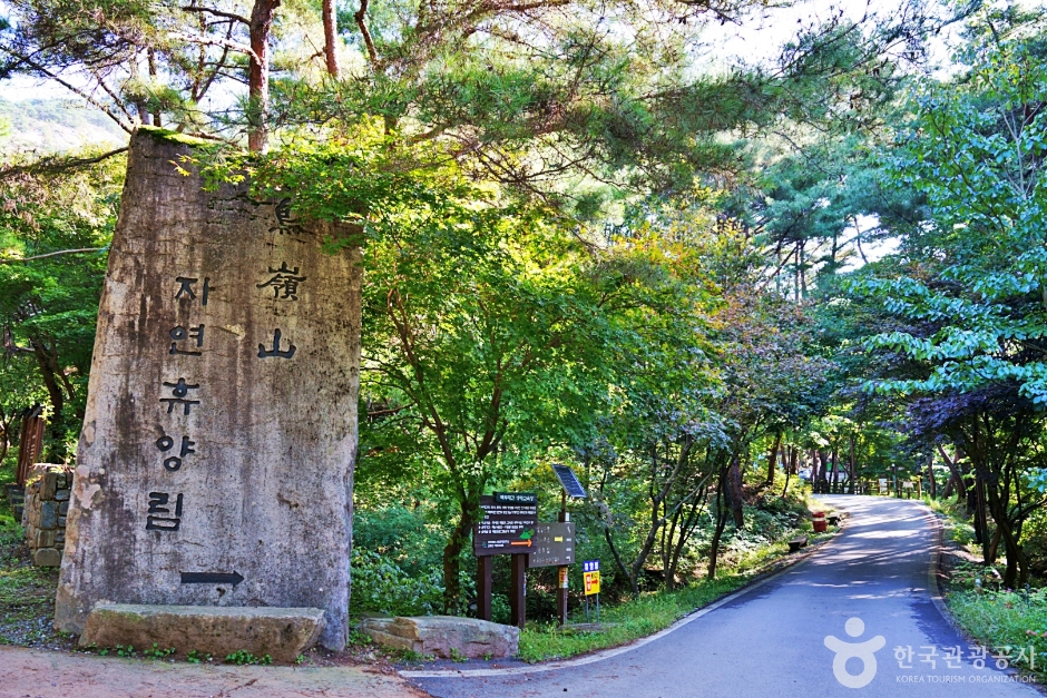 조령산자연휴양림 여행 추천 - 로드트립