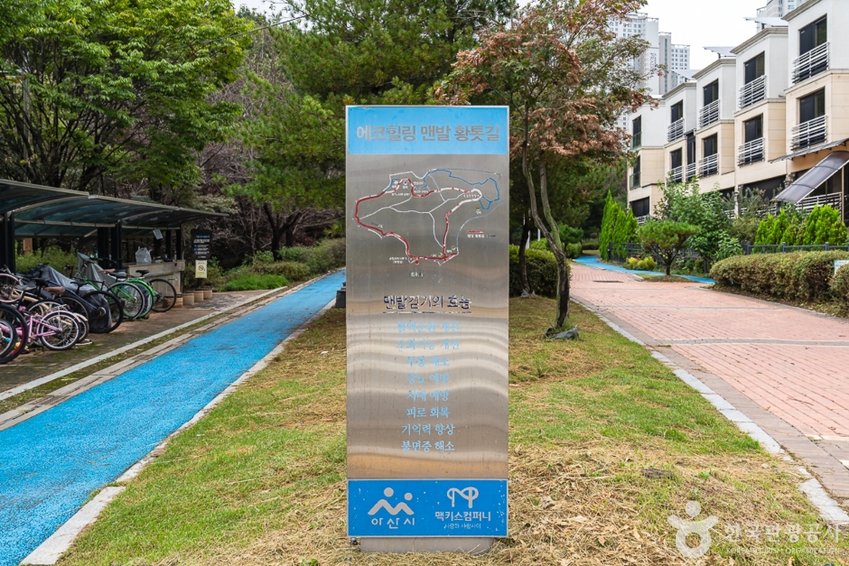에코힐링 황톳길 여행 추천 - 로드트립