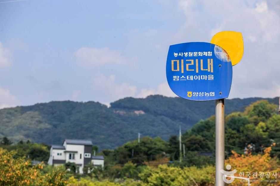 안성 미리내마을 여행 추천 - 로드트립