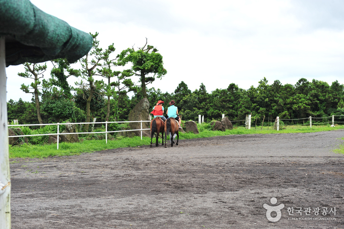 탐라승마장 여행 추천 - 로드트립