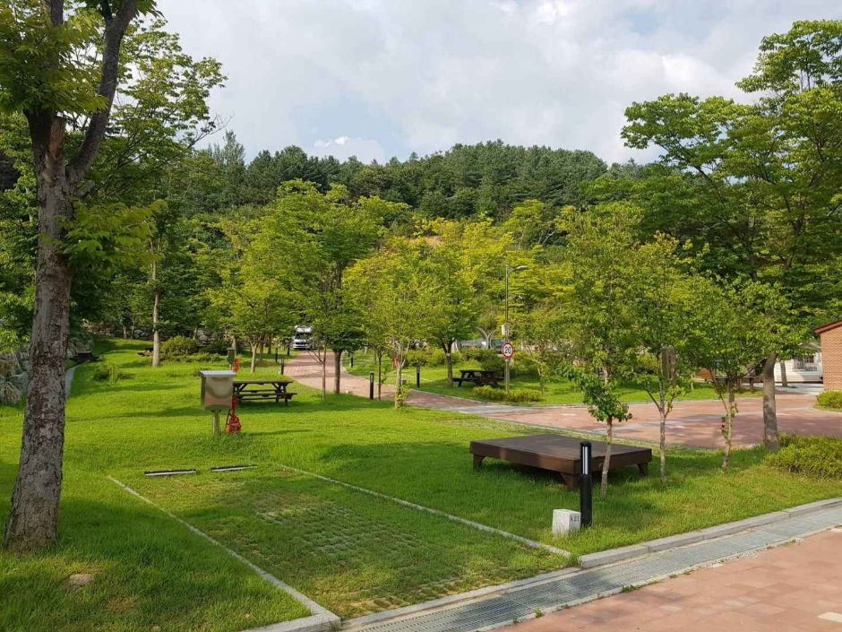 홍천강 자라바위 오토캠핑장 여행 추천 - 로드트립