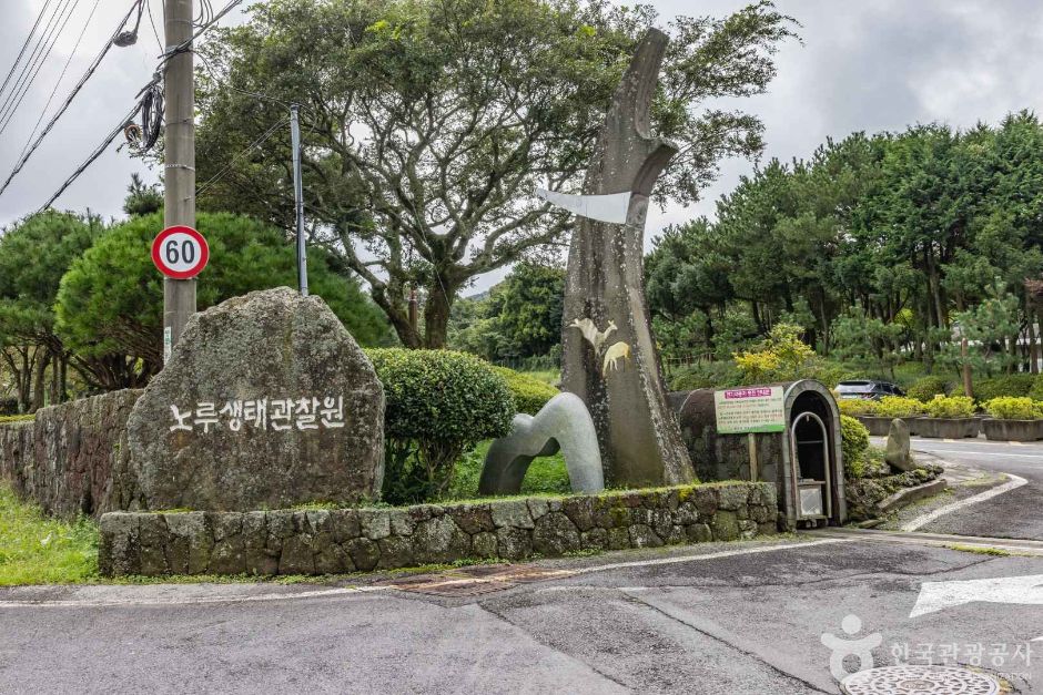 제주 노루생태관찰원 여행 추천 - 로드트립