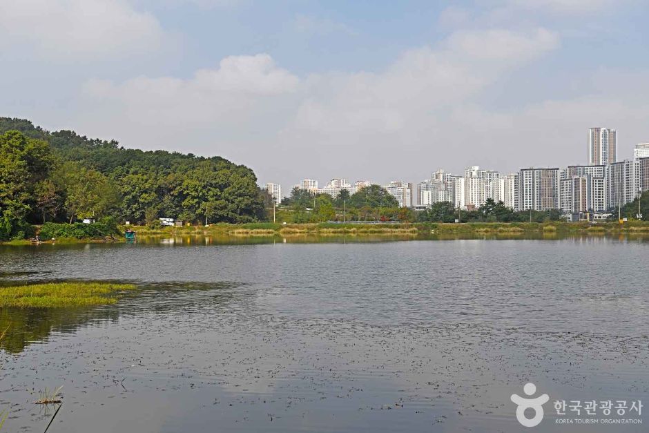 장지저수지 여행 추천 - 로드트립