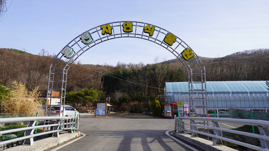 동천자연식물원 여행 추천 - 로드트립