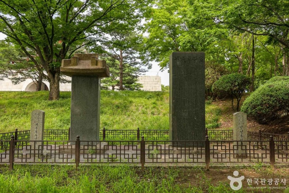 대구부수성비 여행 추천 - 로드트립