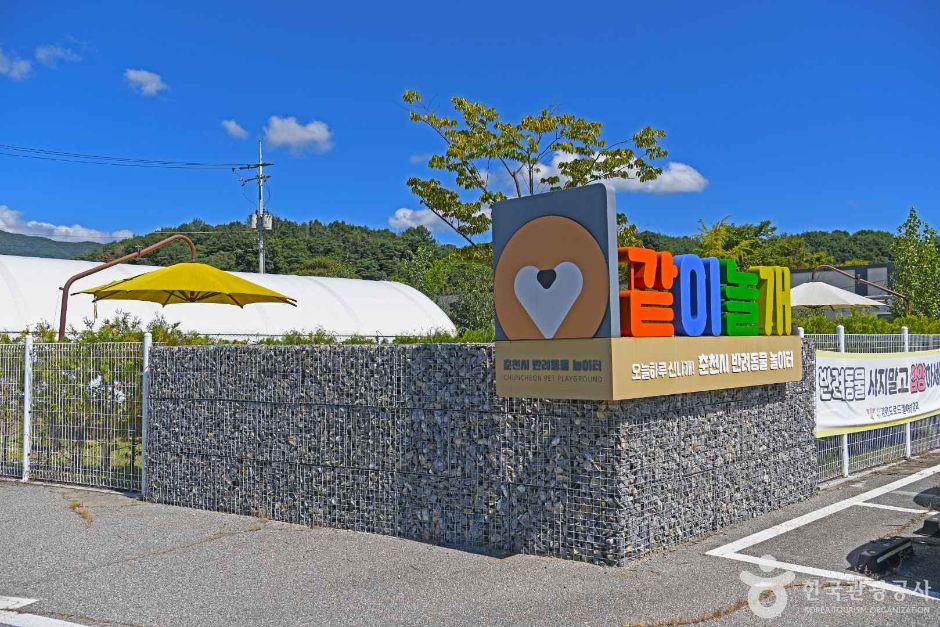 춘천시 반려견놀이터 같이놀개 여행 추천 - 로드트립