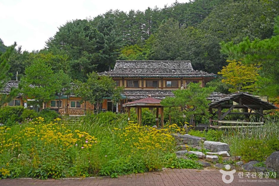 삼척 신리너와마을 여행 추천 - 로드트립