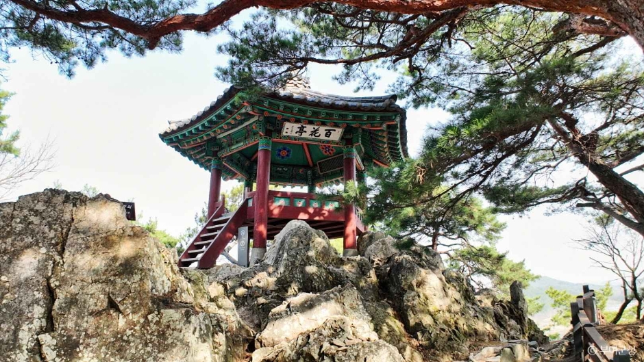 낙화암 여행 추천 - 로드트립
