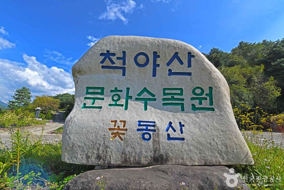 척야산 문화수목원 여행 추천 - 로드트립