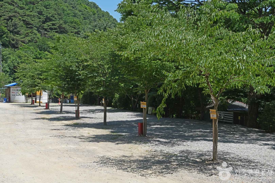 광덕산 관광농원 여행 추천 - 로드트립