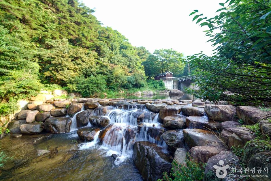 옥천계곡 여행 추천 - 로드트립