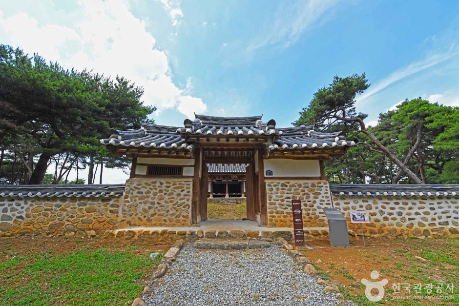 애한정 여행 추천 - 로드트립