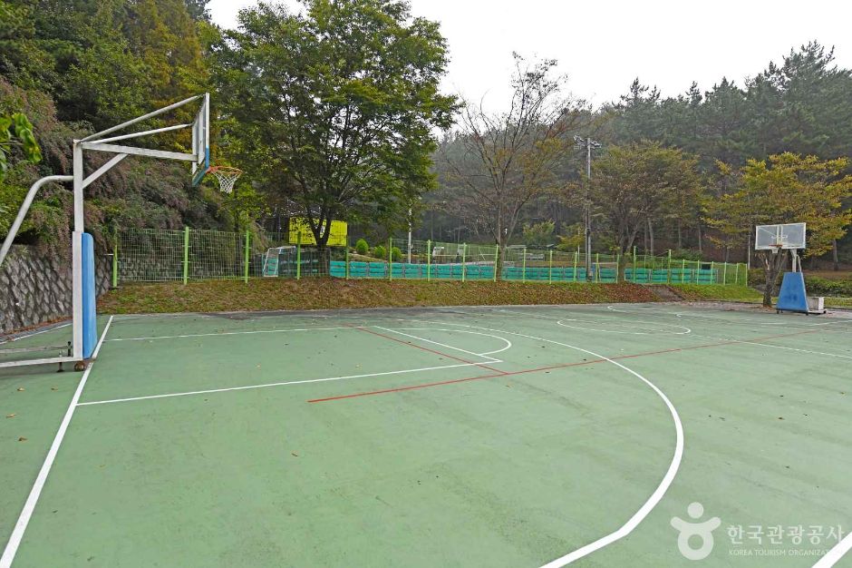 충청남도교육청안전수련원 여행 추천 - 로드트립