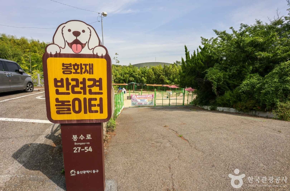 봉화재 반려견 놀이터 여행 추천 - 로드트립