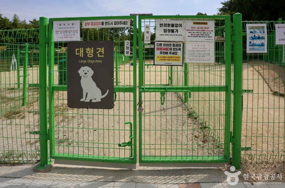 봉화재 반려견 놀이터 여행 추천 - 로드트립