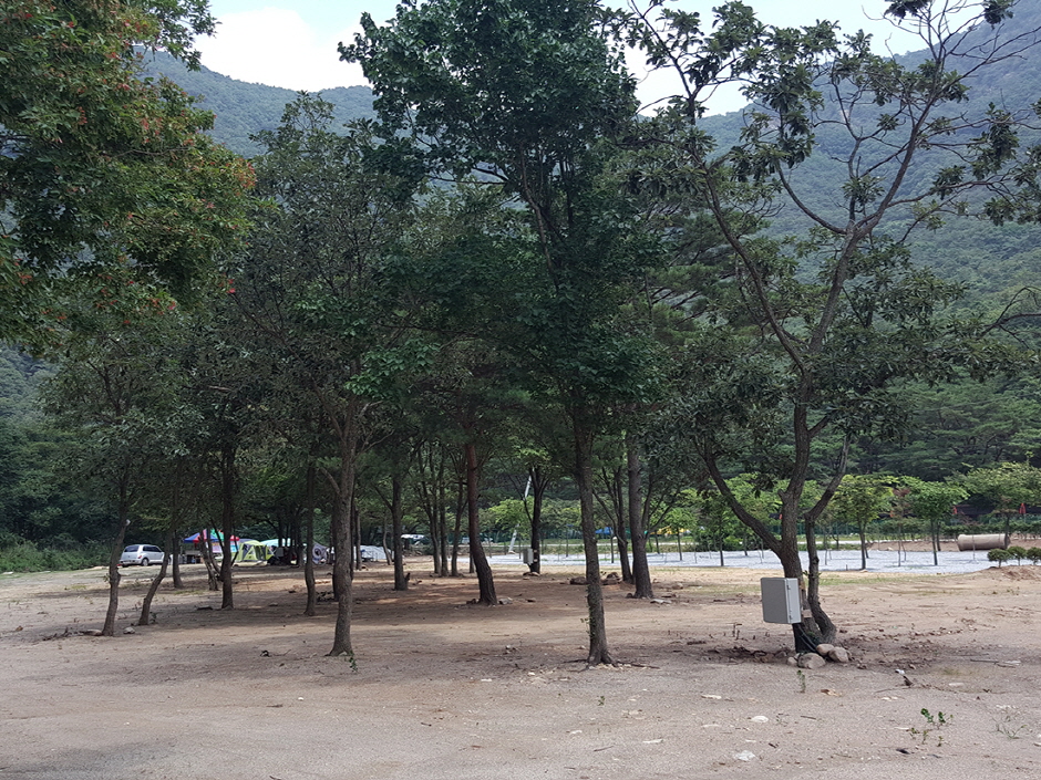 솔밭캠프 여행 추천 - 로드트립