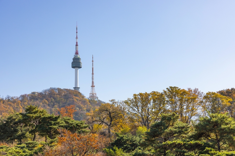남산서울타워 여행 추천 - 로드트립