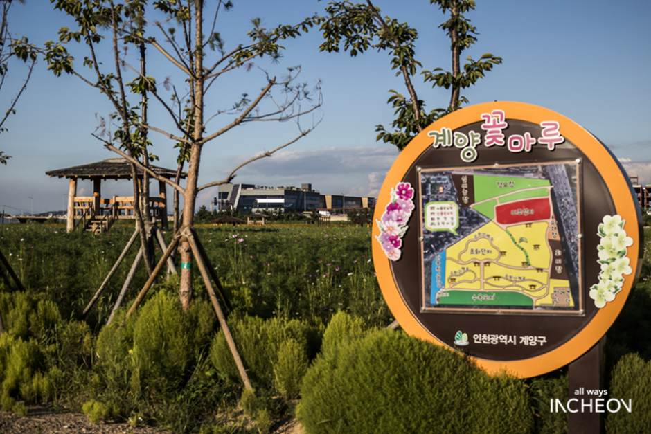 서운체육공원 여행 추천 - 로드트립