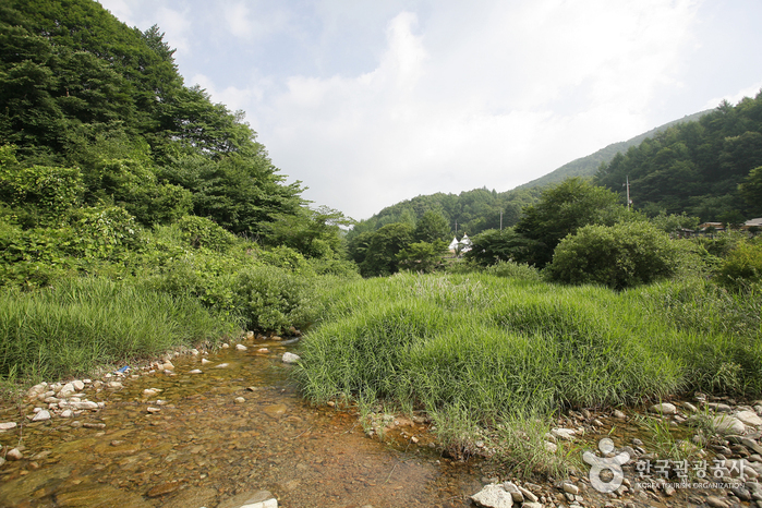 용추자연휴양림 여행 추천 - 로드트립