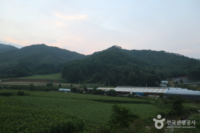 백덕산(영월) 여행 추천 - 로드트립
