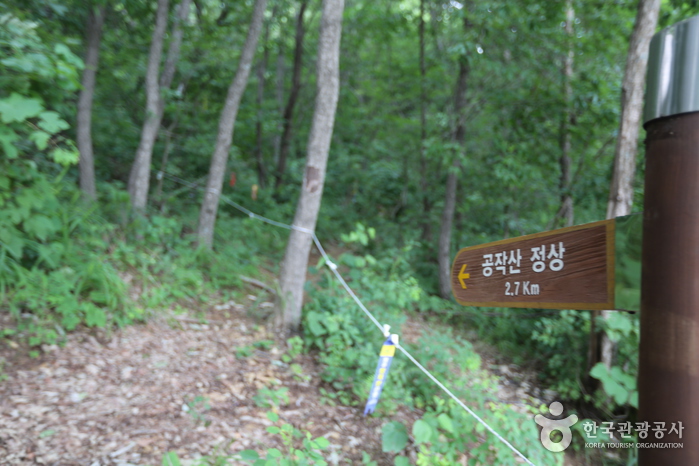 공작산 여행 추천 - 로드트립