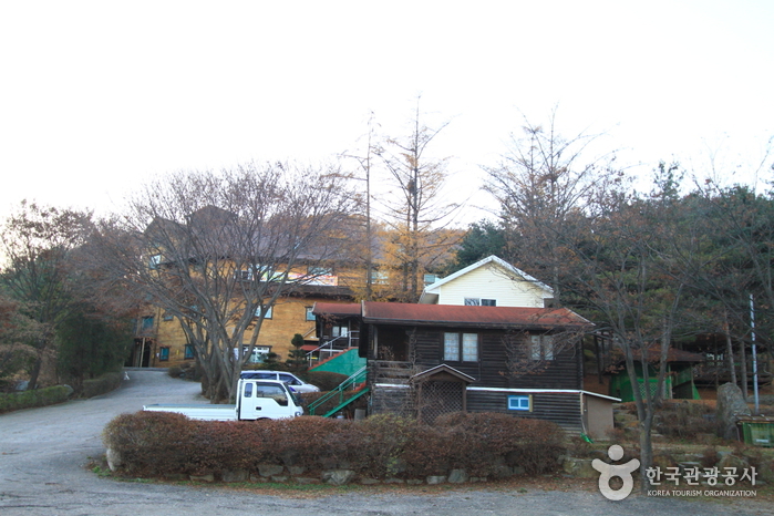 딱따구리청소년수련원 여행 추천 - 로드트립