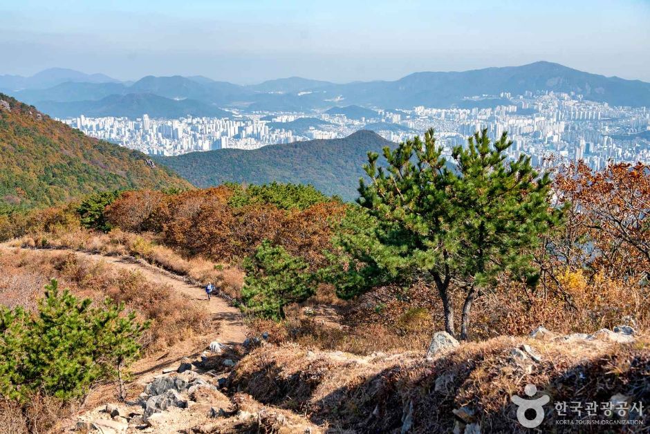 백양산 (부산 국가지질공원) 여행 추천 - 로드트립