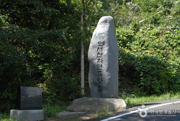 국립 오서산자연휴양림 여행 추천 - 로드트립