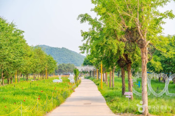 남이섬 여행 추천 - 메고지고
