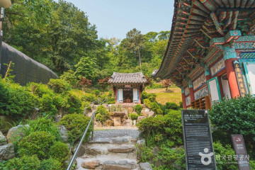 대모산도시자연공원 여행 추천 - 메고지고