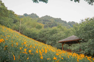 와인통 산 여행 추천 - 메고지고