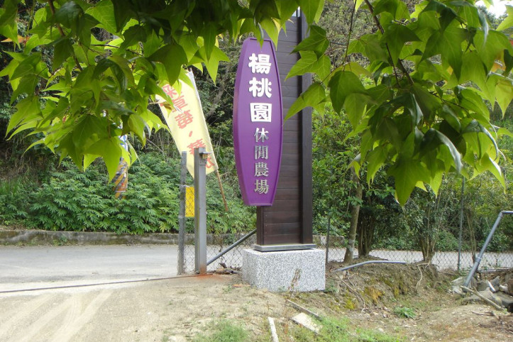 양타오위안 레저 농장 여행 추천 - 메고지고