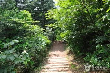 중미산 천문대 여행 추천 - 메고지고