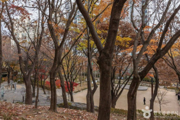 관악산 선우공원 여행 추천 - 메고지고