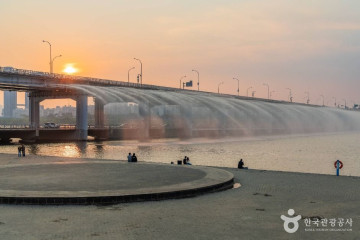 피카소 벽화 여행 추천 - 메고지고