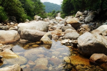 용문산관광단지 여행 추천 - 메고지고