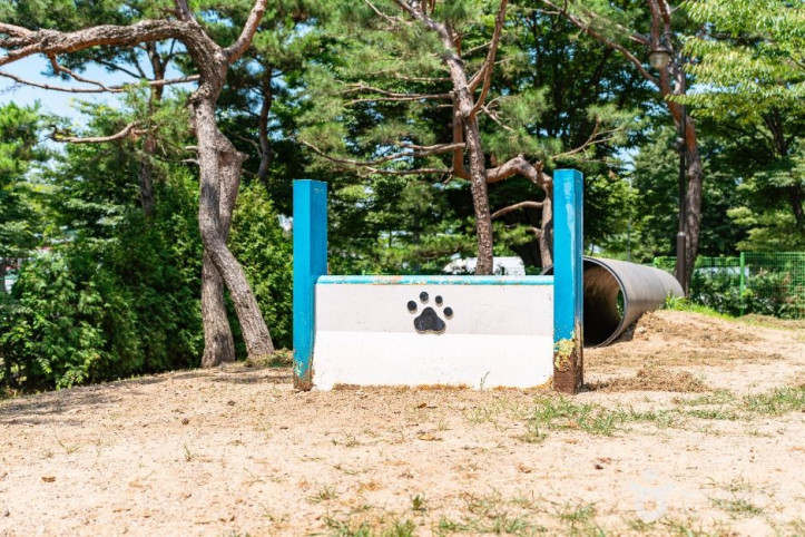 일산호수공원 반려견놀이터 여행 추천 - 메고지고